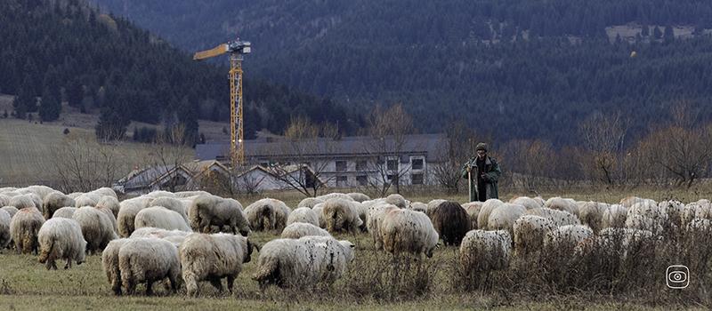 Helga Toth / Transtelex