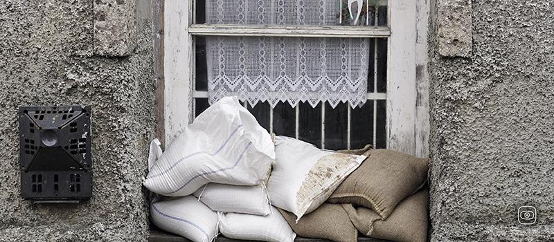 Adapting or Failing?