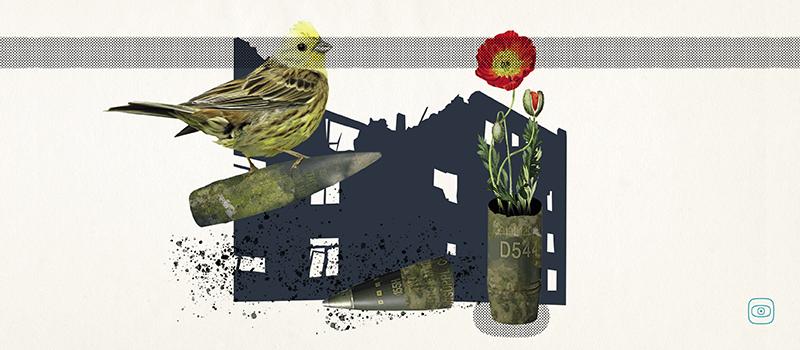 Overpriced Ammunition