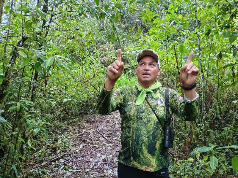 Latin-America leads the way on nature restoration