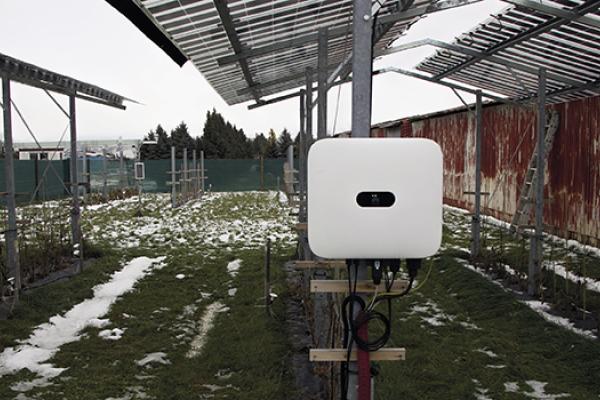 Karolína Chlumecká