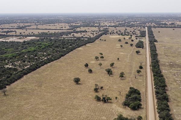 Paraguay Environment Ministry Issues Official Note After Investigation