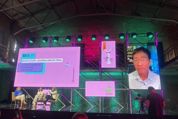 ZEG Festival Session About Mzia Amaglobeli's Case